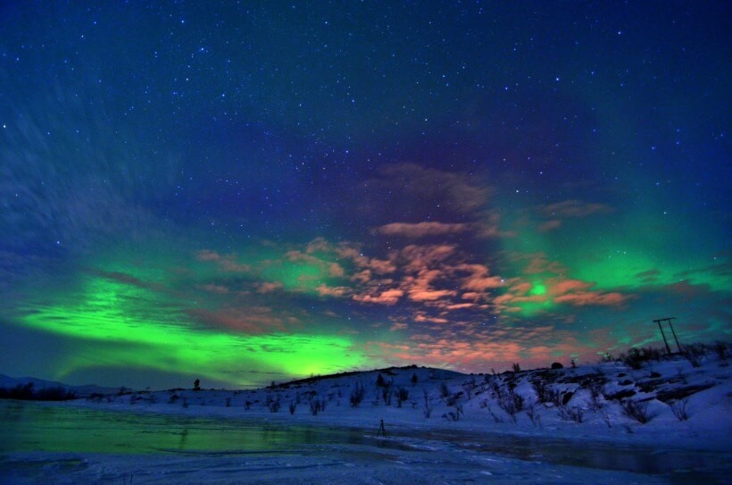 painting company Alta