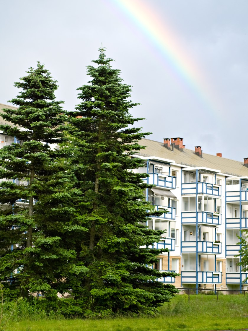 painting company Lambertseter
